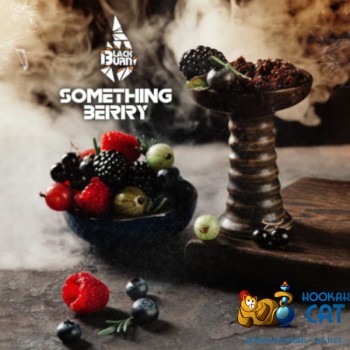 Табак для кальяна BlackBurn Something Berry (БлэкБерн Ягодный Микс) 100г - фото 1